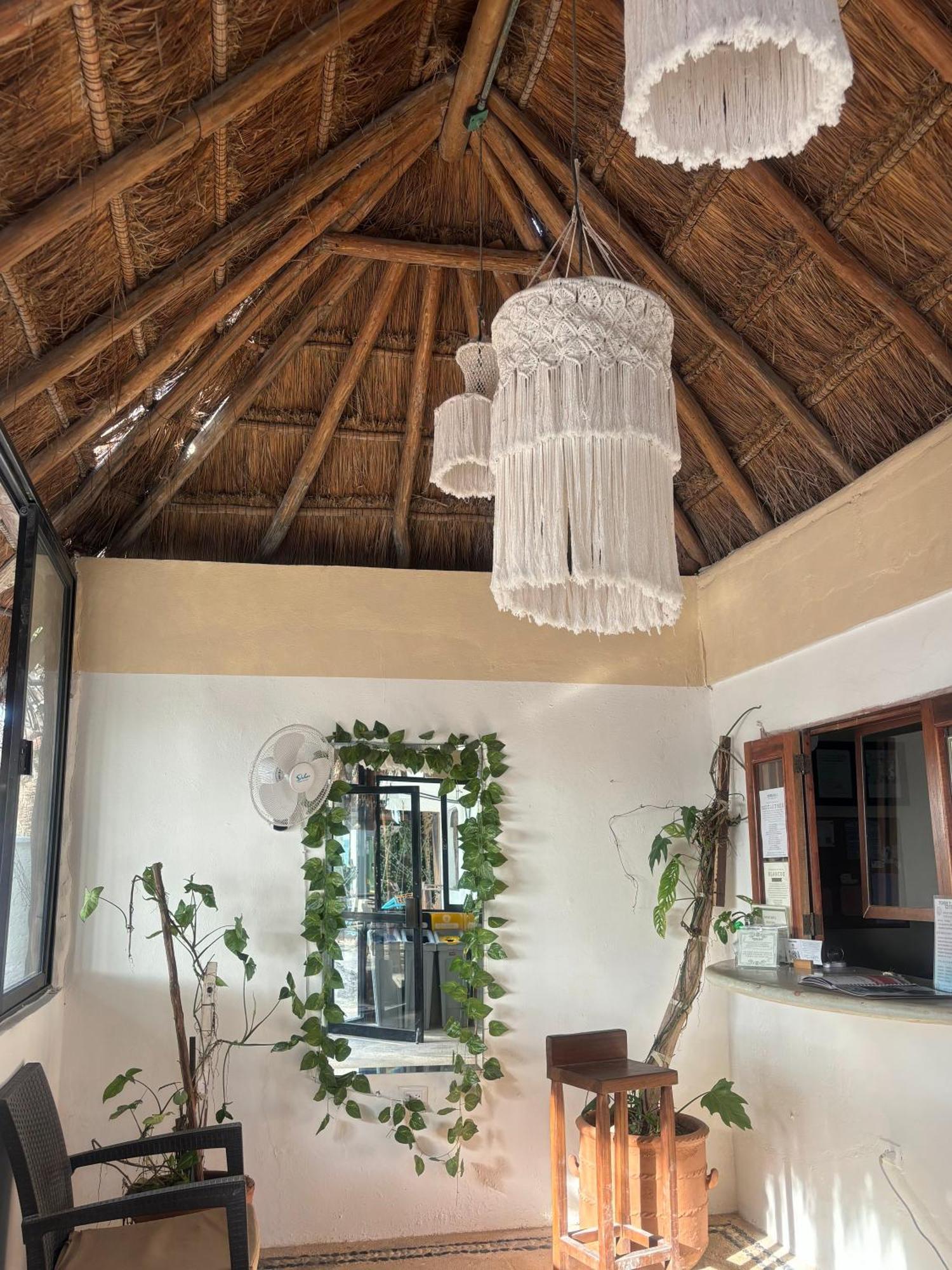 La Diosa Kali Beach Front Hotel Isla Holbox Luaran gambar